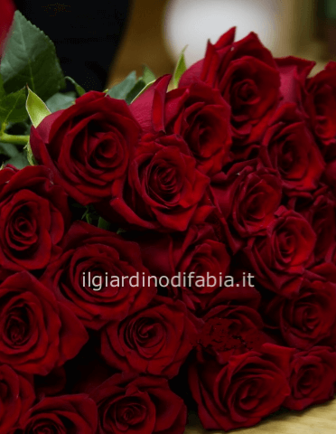 Rose rosse a stelo lungo con complementi verdi.
