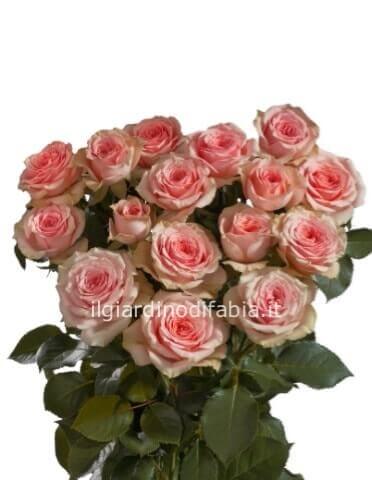 rose rosa da comporre in mazzo minimo 3 steli con complementi verdi