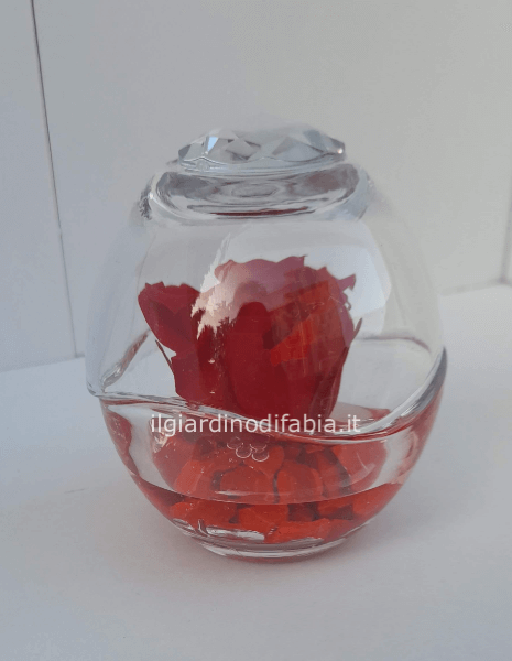 Rose stabilizzate  in vetro chiuso
