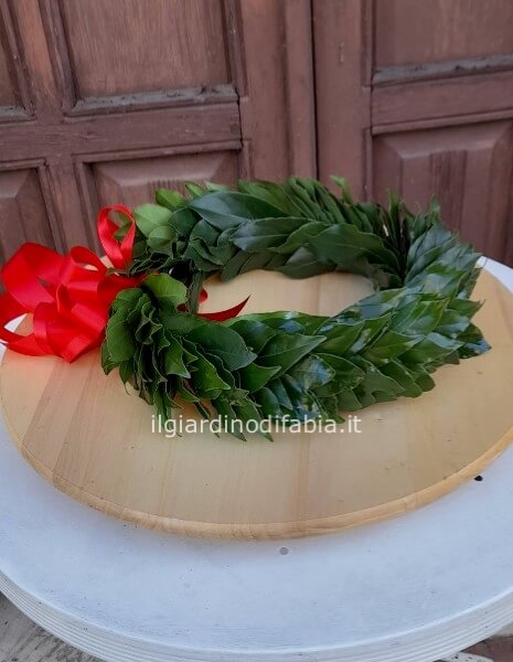 coroncina laurea d'alloro 